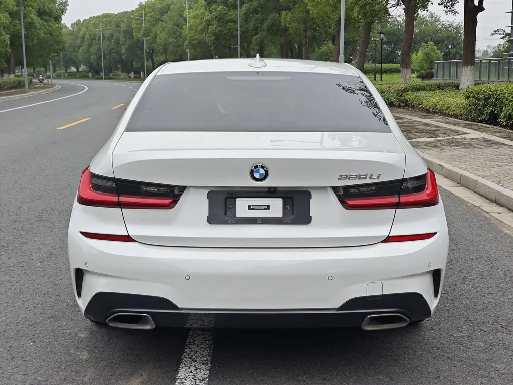 BMW 3 Series 2021 из CN, фото 7