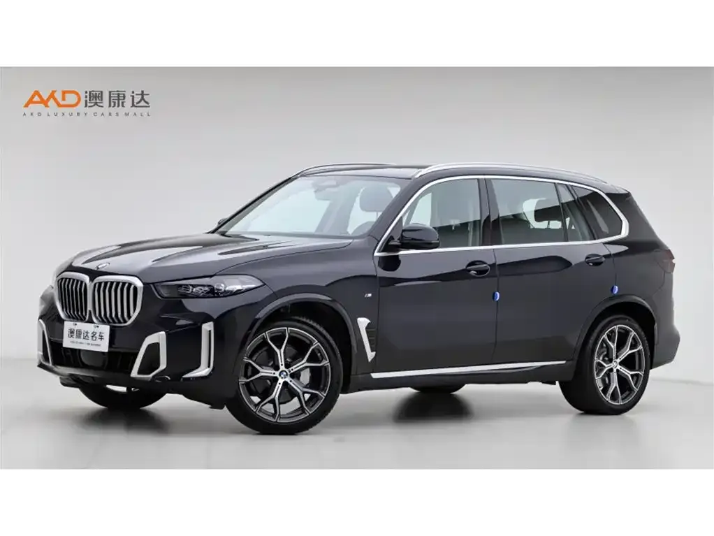 BMW X5 2024 из CN, фото 1