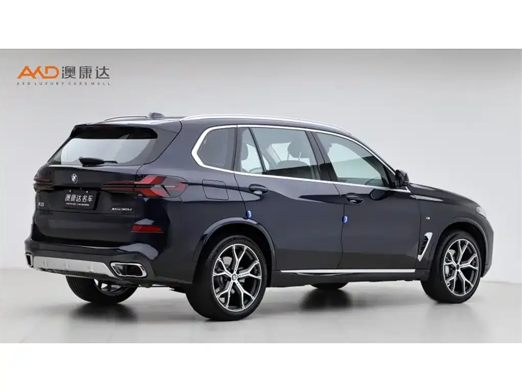 BMW X5 2024 из CN, фото 3