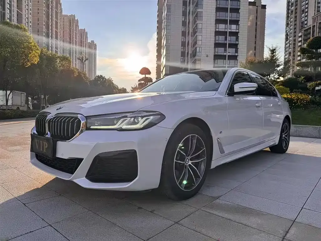 BMW 5 Series 2021 из CN, фото 2