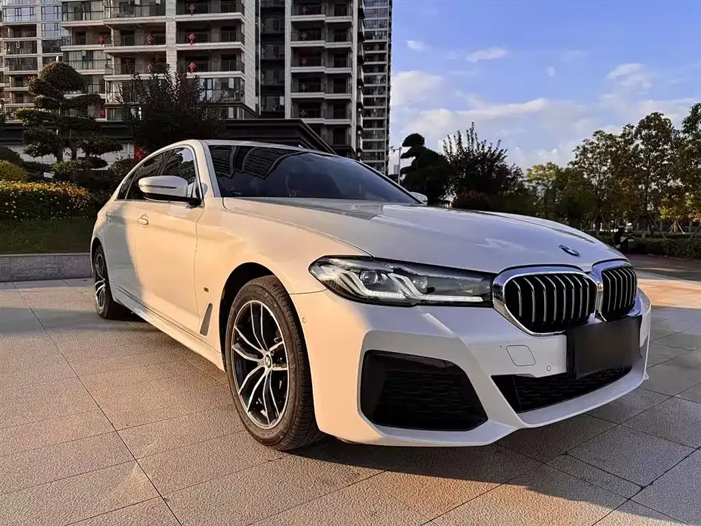 BMW 5 Series 2021 из CN, фото 3