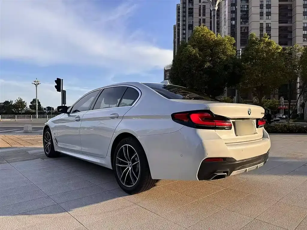 BMW 5 Series 2021 из CN, фото 4