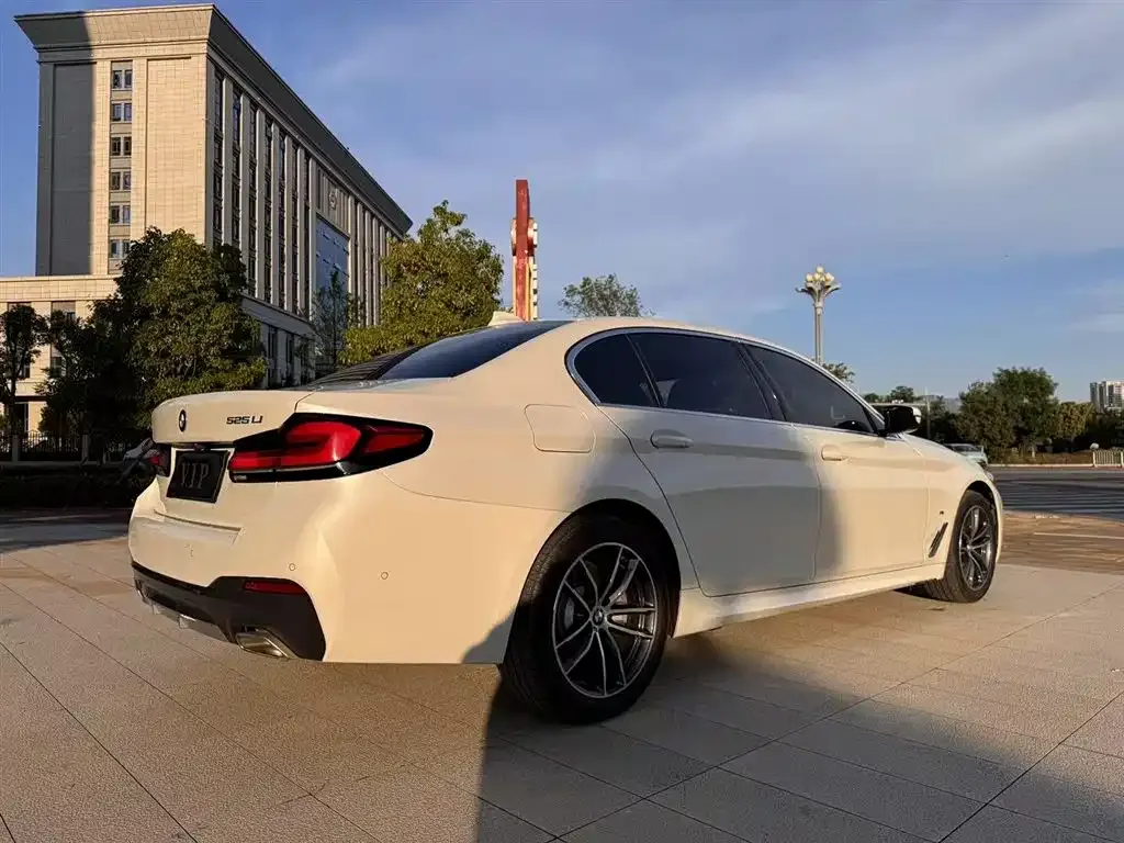 BMW 5 Series 2021 из CN, фото 5