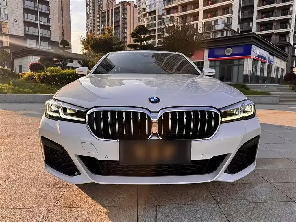 BMW 5 Series 2021 из CN, фото 6