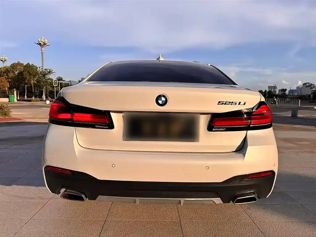 BMW 5 Series 2021 из CN, фото 7