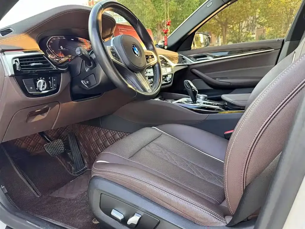 BMW 5 Series 2021 из CN, фото 9