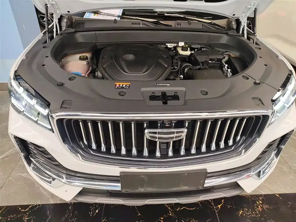 Geely Xingyue L 2023 из CN, фото 10