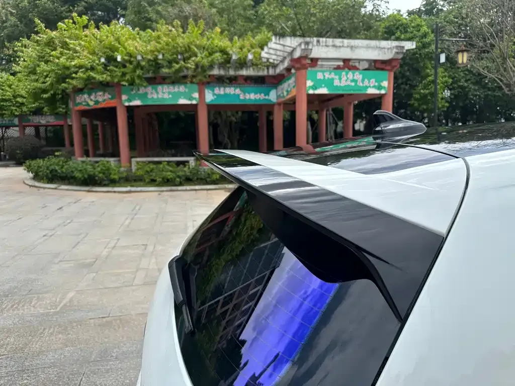 [object Object] Golf GTI 2022 из CN, фото 10