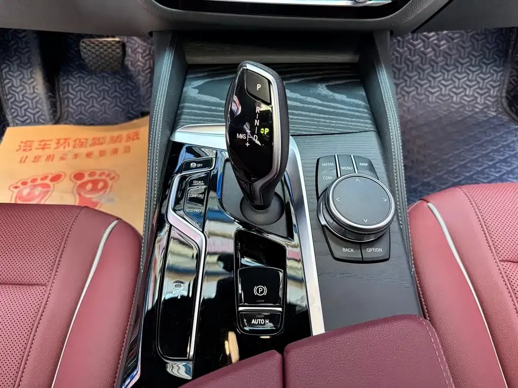 BMW 5 Series 2023 из CN, фото 10