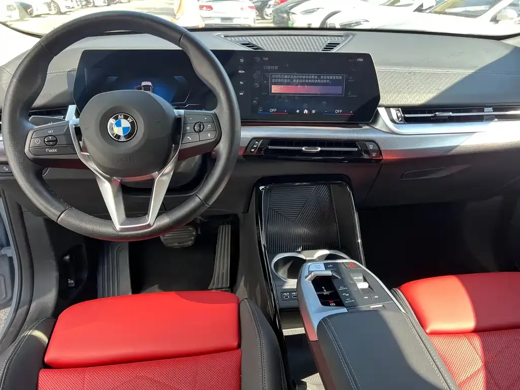 BMW X2 (Import) 2024 из CN, фото 4