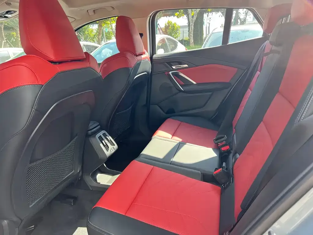 BMW X2 (Import) 2024 из CN, фото 5