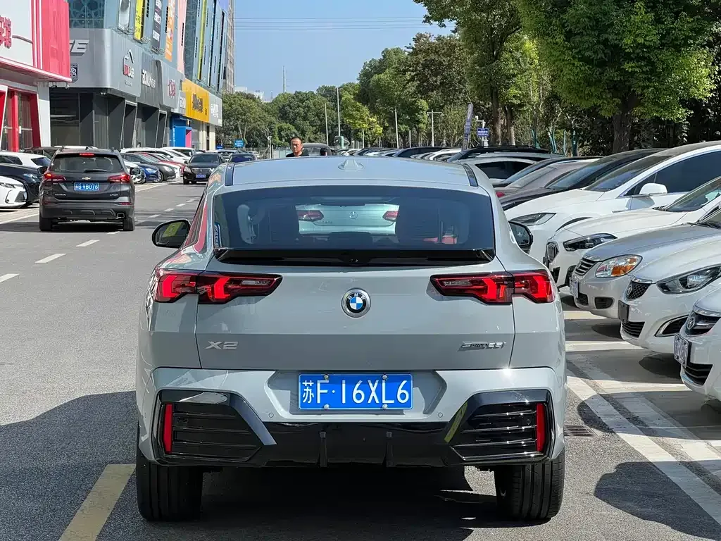 BMW X2 (Import) 2024 из CN, фото 7