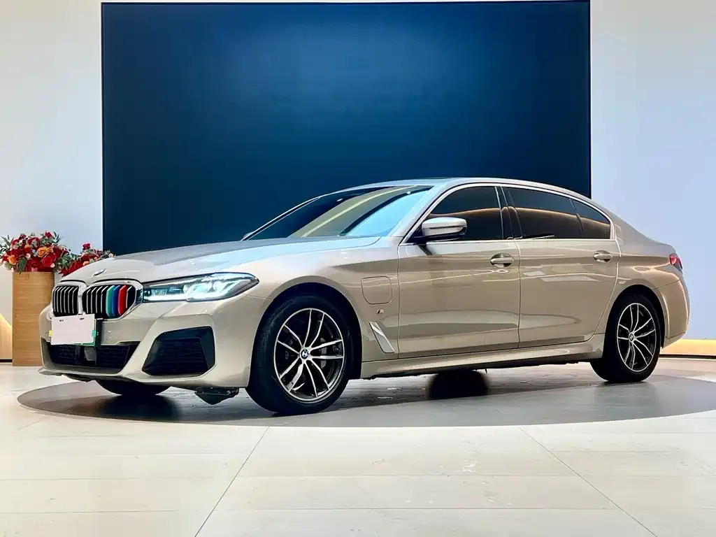 BMW 5 Series New Energy 2021 из CN, фото 1