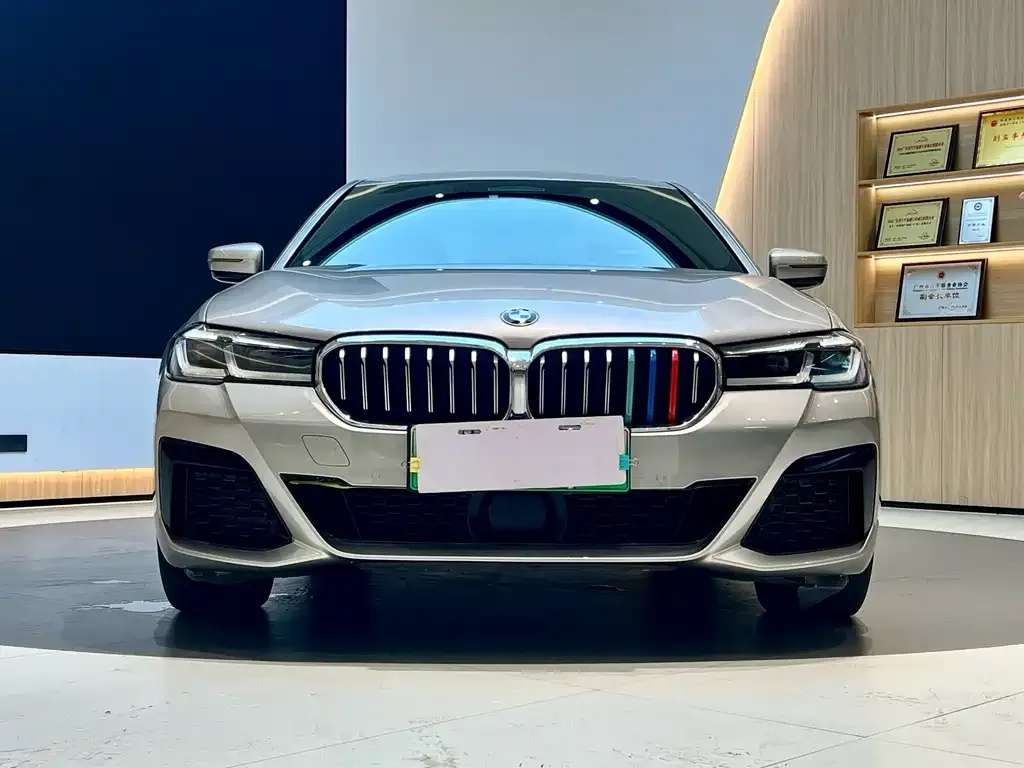 BMW 5 Series New Energy 2021 из CN, фото 2