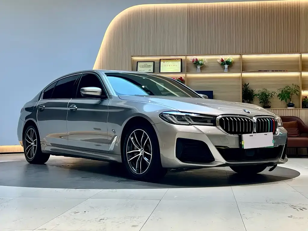 BMW 5 Series New Energy 2021 из CN, фото 3