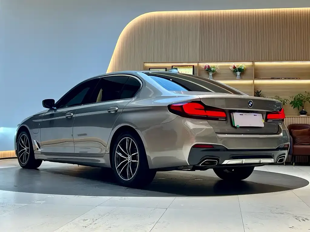 BMW 5 Series New Energy 2021 из CN, фото 4