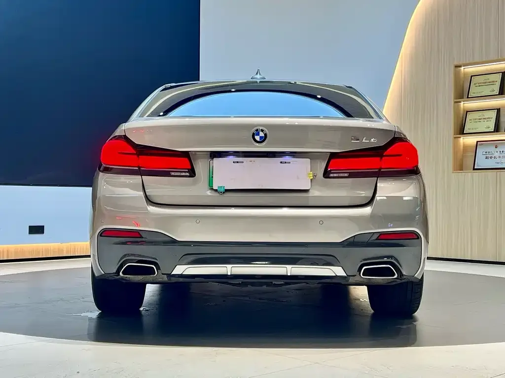 BMW 5 Series New Energy 2021 из CN, фото 5