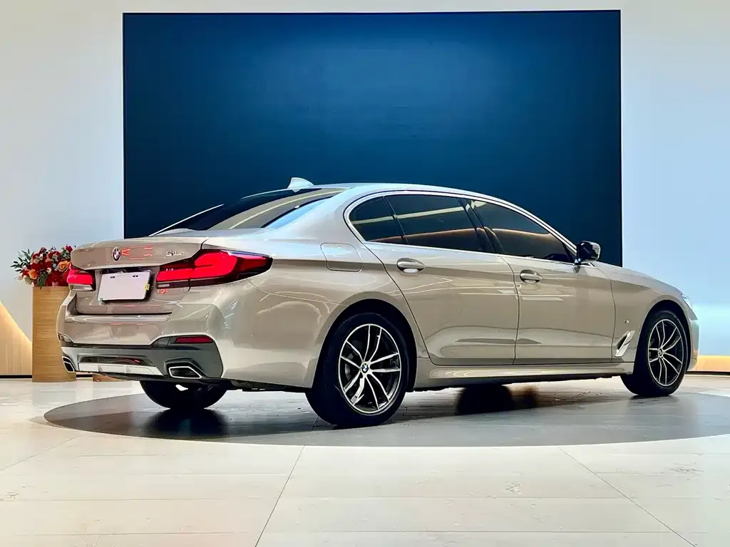 BMW 5 Series New Energy 2021 из CN, фото 6