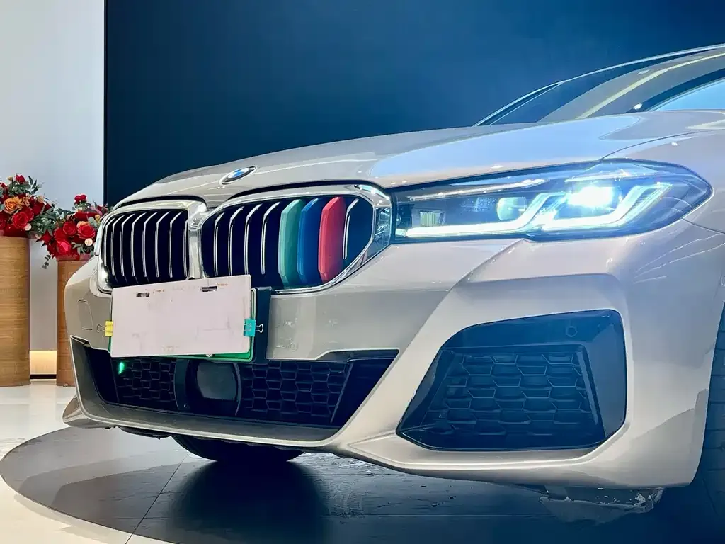 BMW 5 Series New Energy 2021 из CN, фото 7