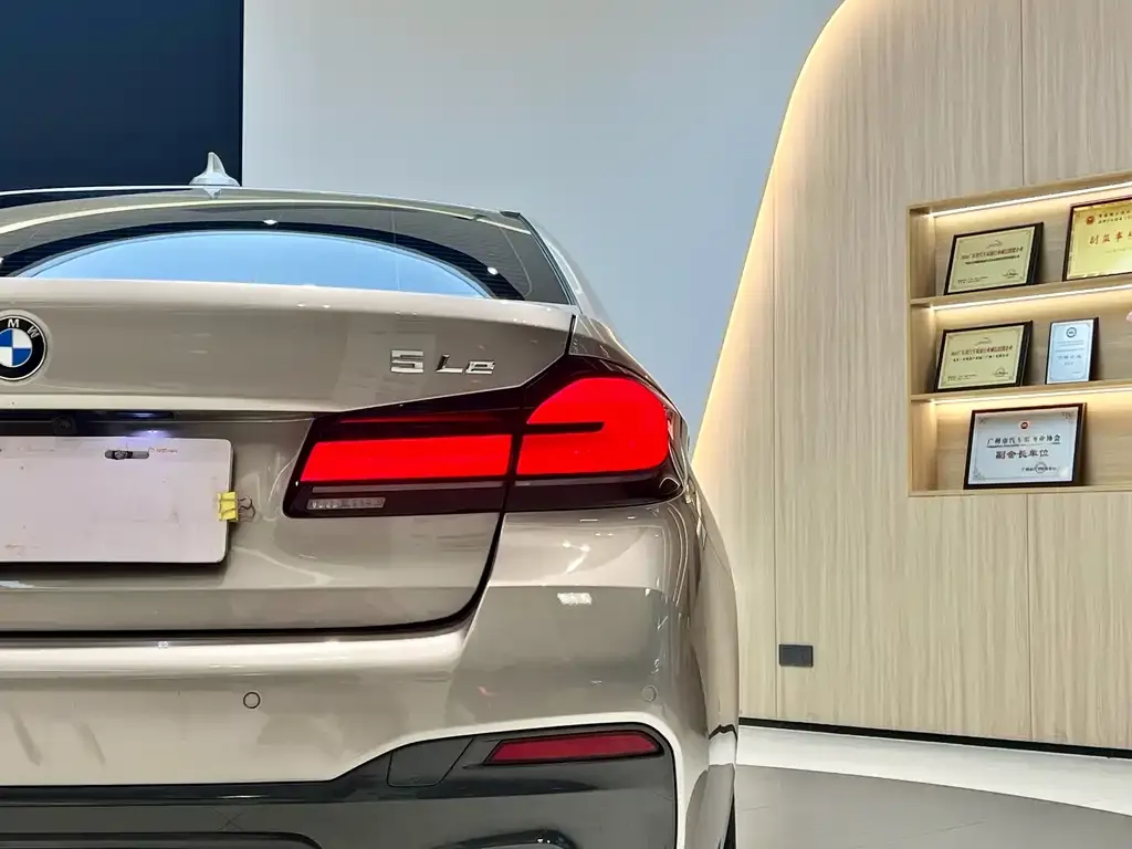 BMW 5 Series New Energy 2021 из CN, фото 9