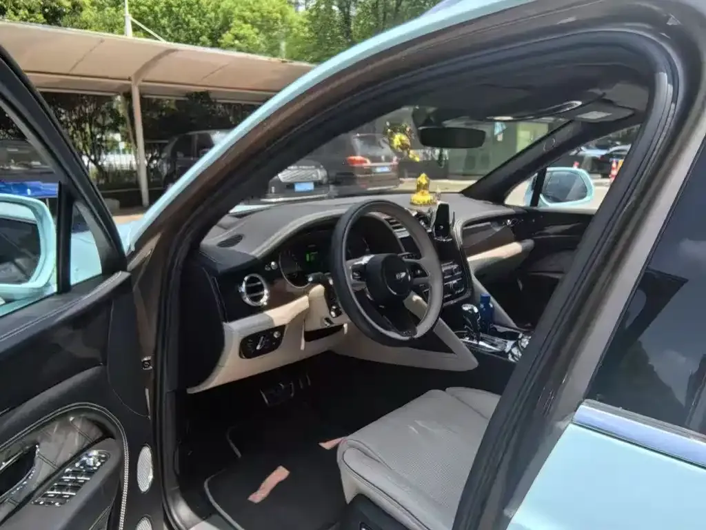 Bentley Bentayga PHEV 2023 из CN, фото 8
