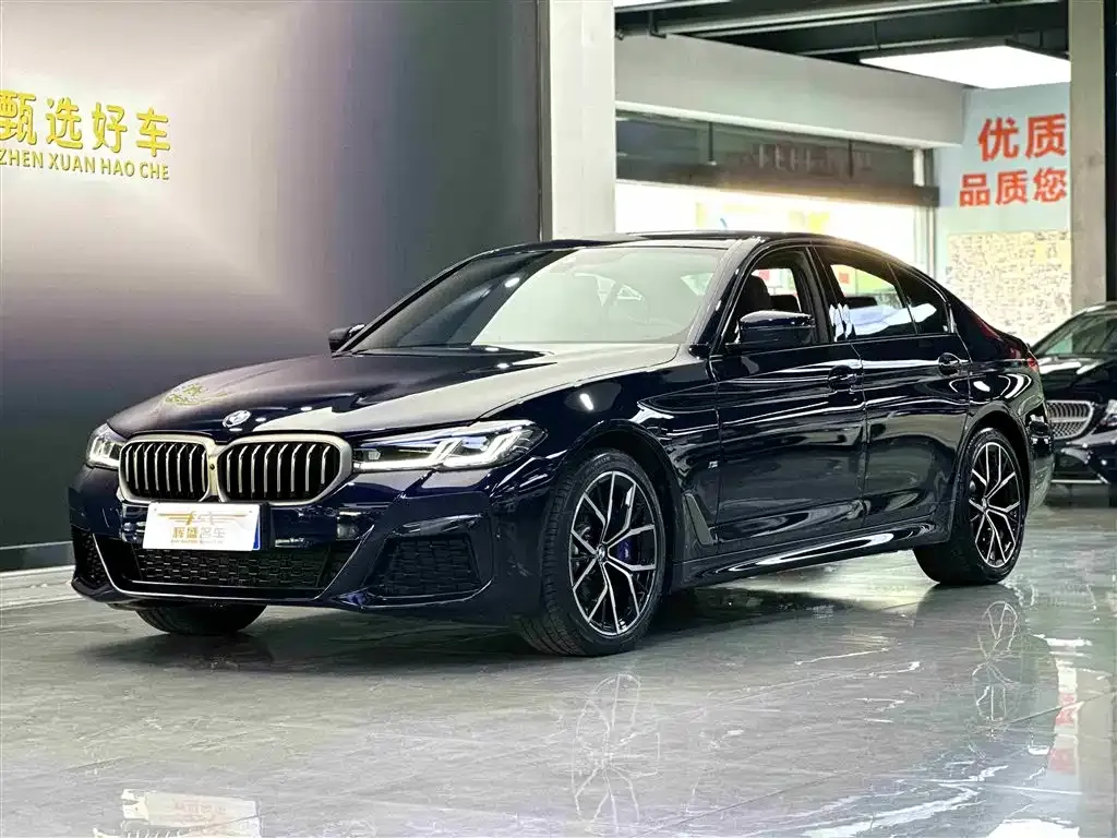 BMW 5 Series (Import) 2023 из CN, фото 1
