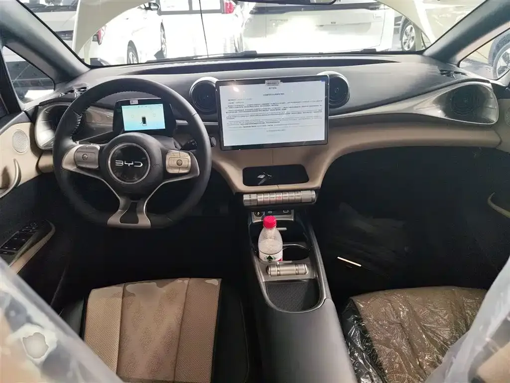 BYD Dolphin 2025 из CN, фото 10