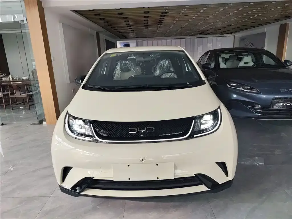 BYD Dolphin 2025 из CN, фото 3