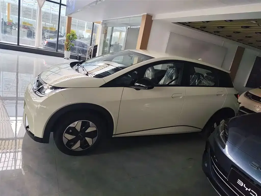 BYD Dolphin 2025 из CN, фото 5