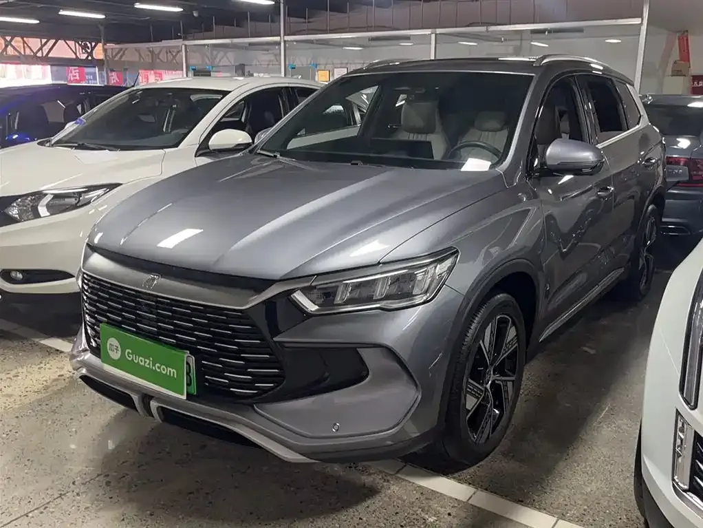BYD Pro New Energy 2024 из CN, фото 1