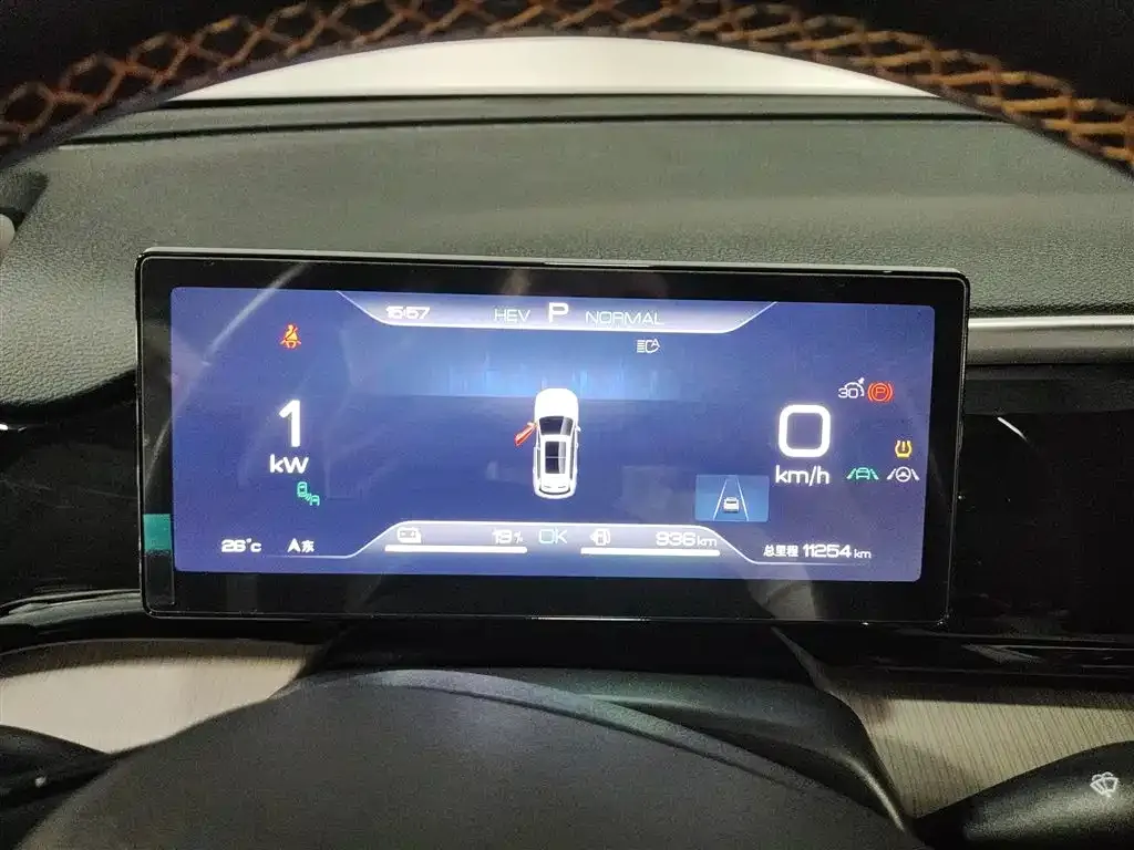 BYD Pro New Energy 2024 из CN, фото 10