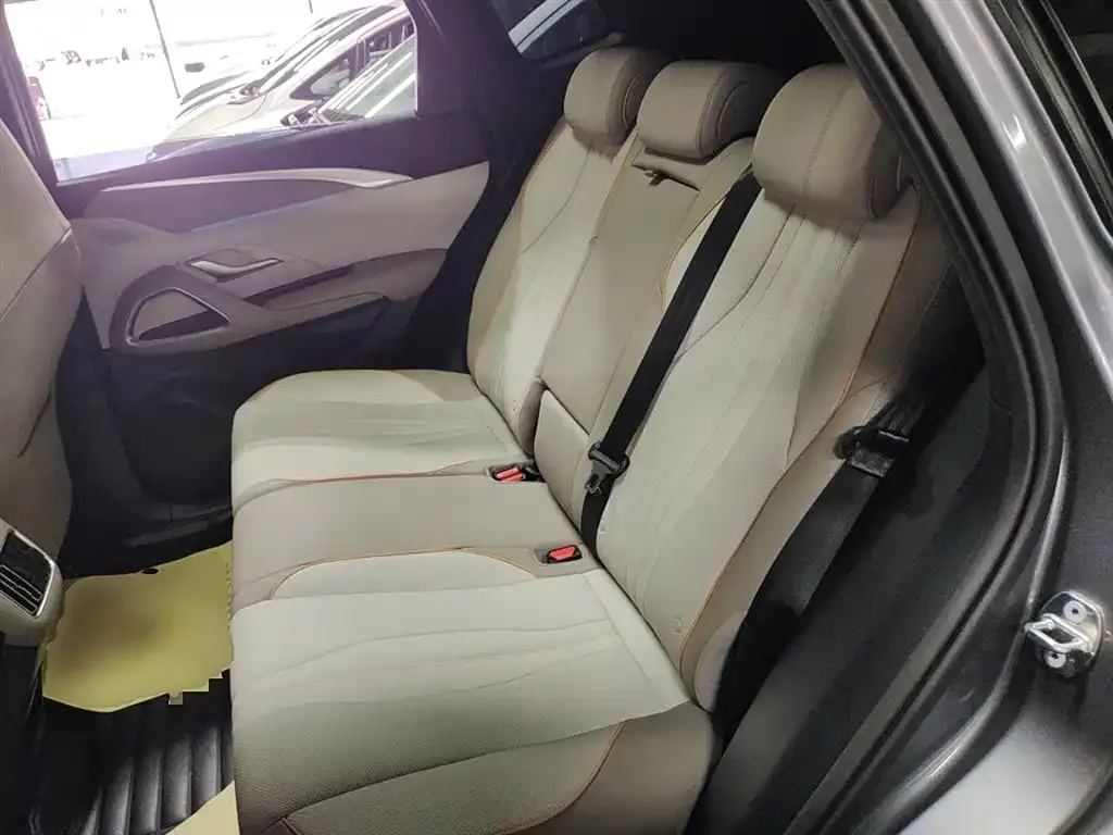 BYD Pro New Energy 2024 из CN, фото 6