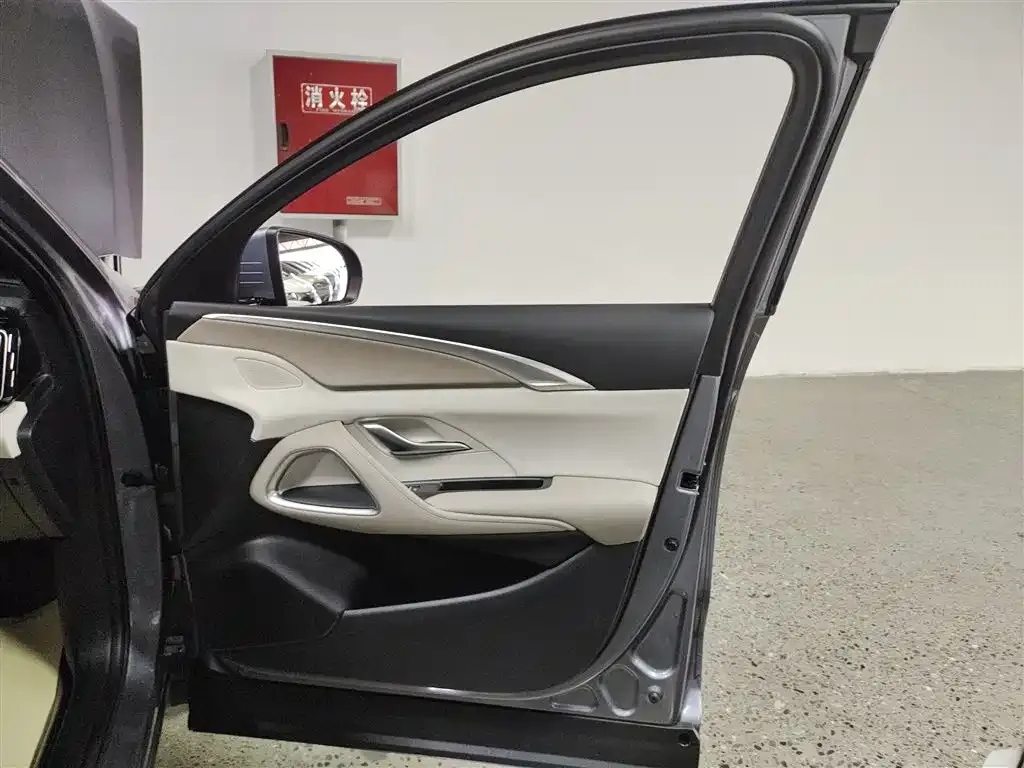 BYD Pro New Energy 2024 из CN, фото 8