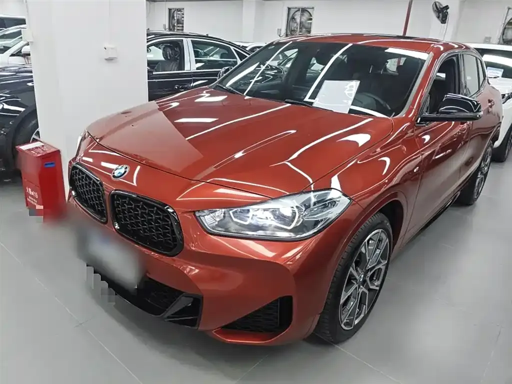 BMW X2 2021 из CN, фото 1