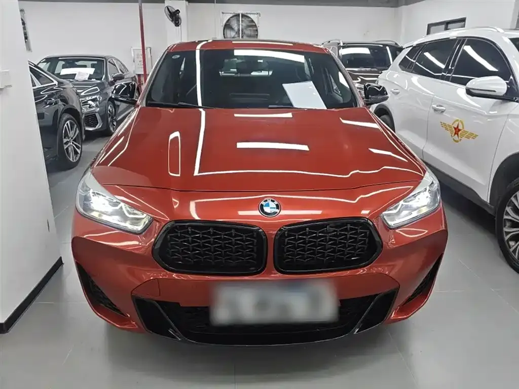 BMW X2 2021 из CN, фото 3
