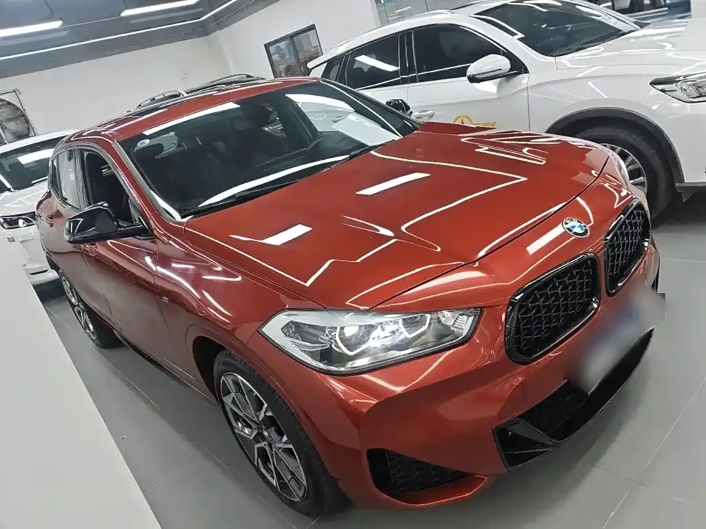 BMW X2 2021 из CN, фото 4