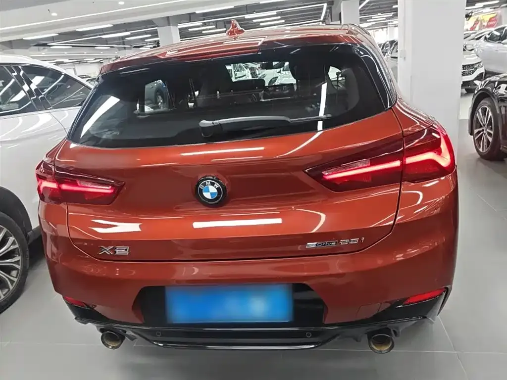 BMW X2 2021 из CN, фото 6
