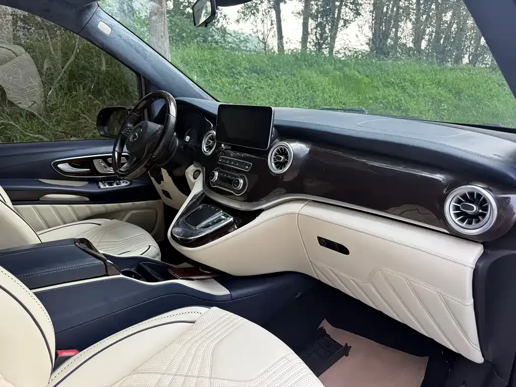 Mercedes-Benz Vito 2021 из CN, фото 5
