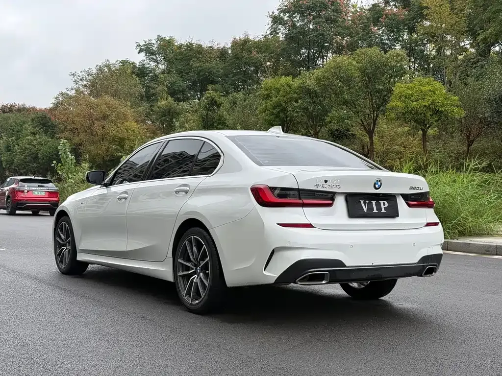 BMW 3 Series 2022 из CN, фото 7