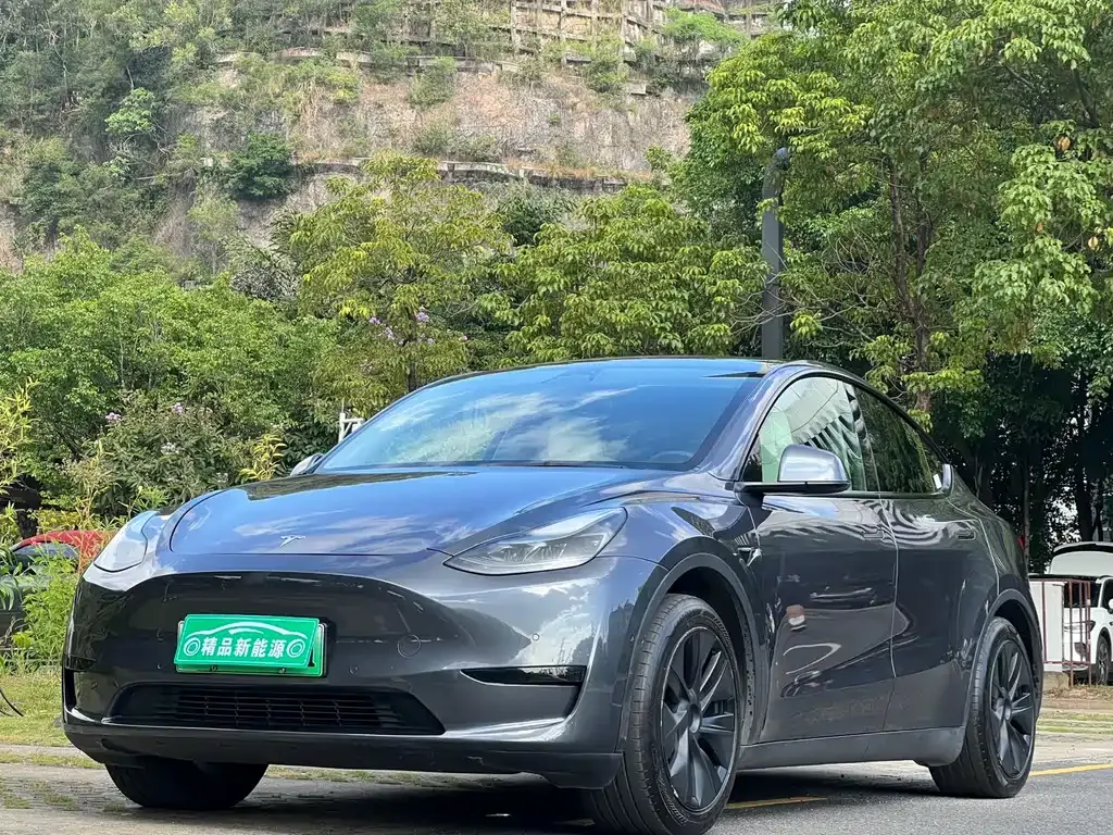 Tesla Model Y 2023 из CN, фото 1