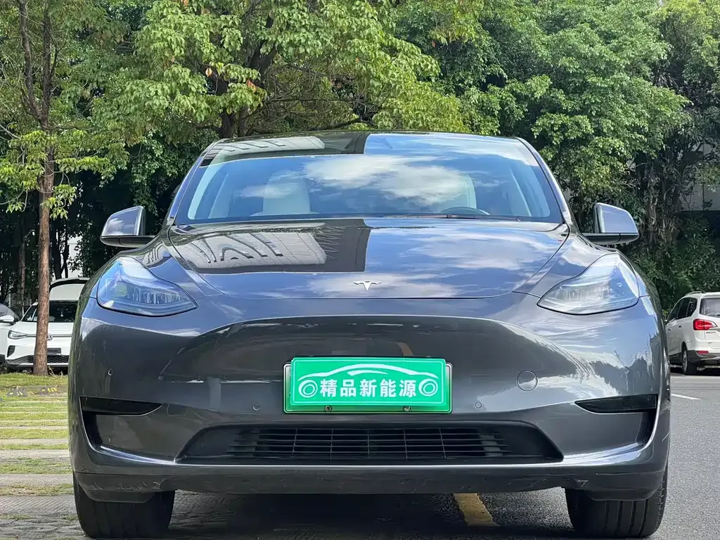 Tesla Model Y 2023 из CN, фото 2