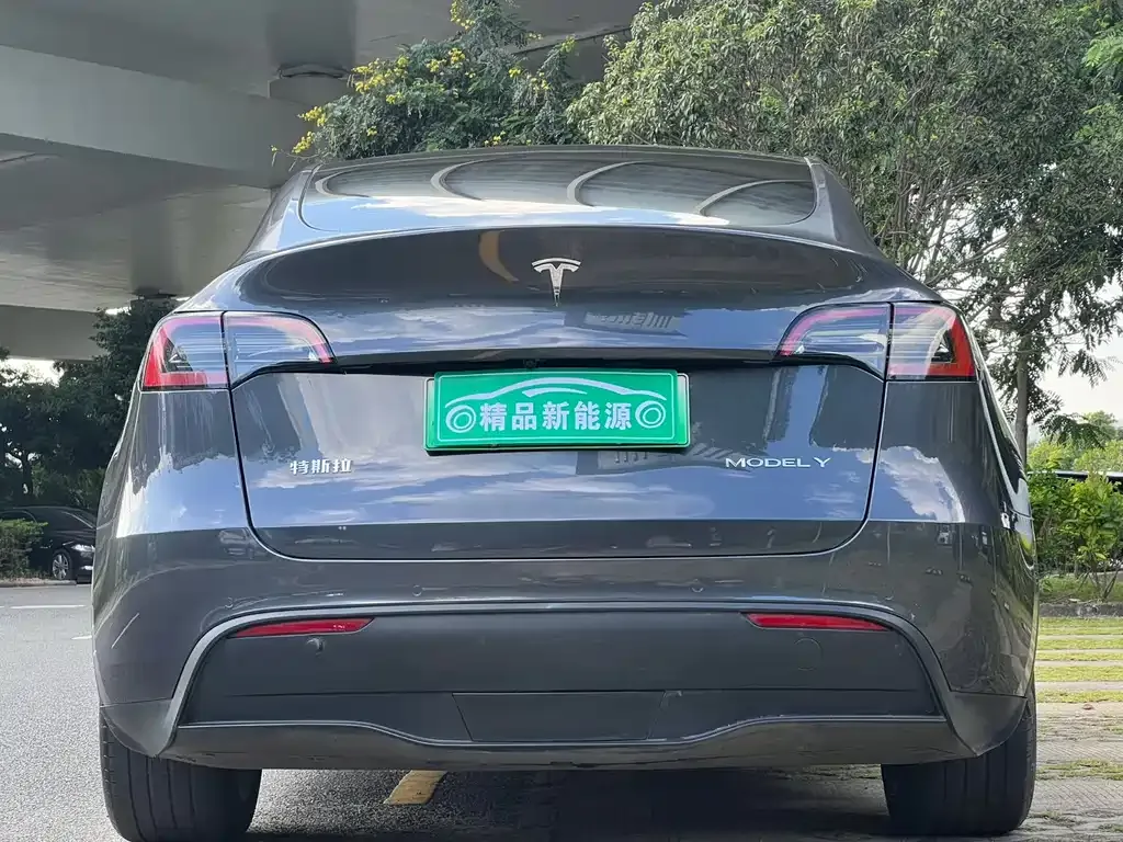 Tesla Model Y 2023 из CN, фото 5