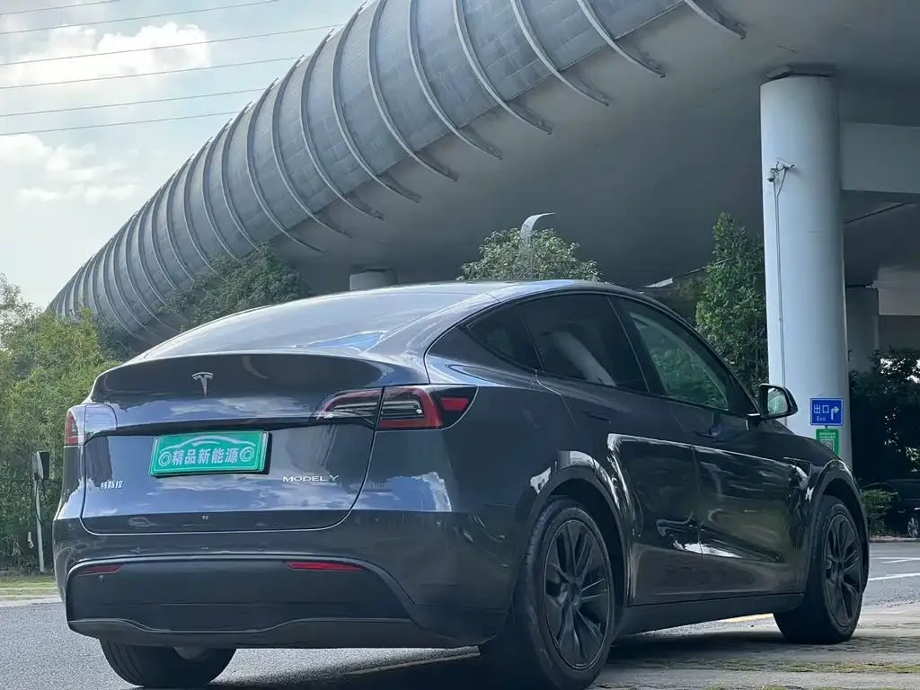Tesla Model Y 2023 из CN, фото 6