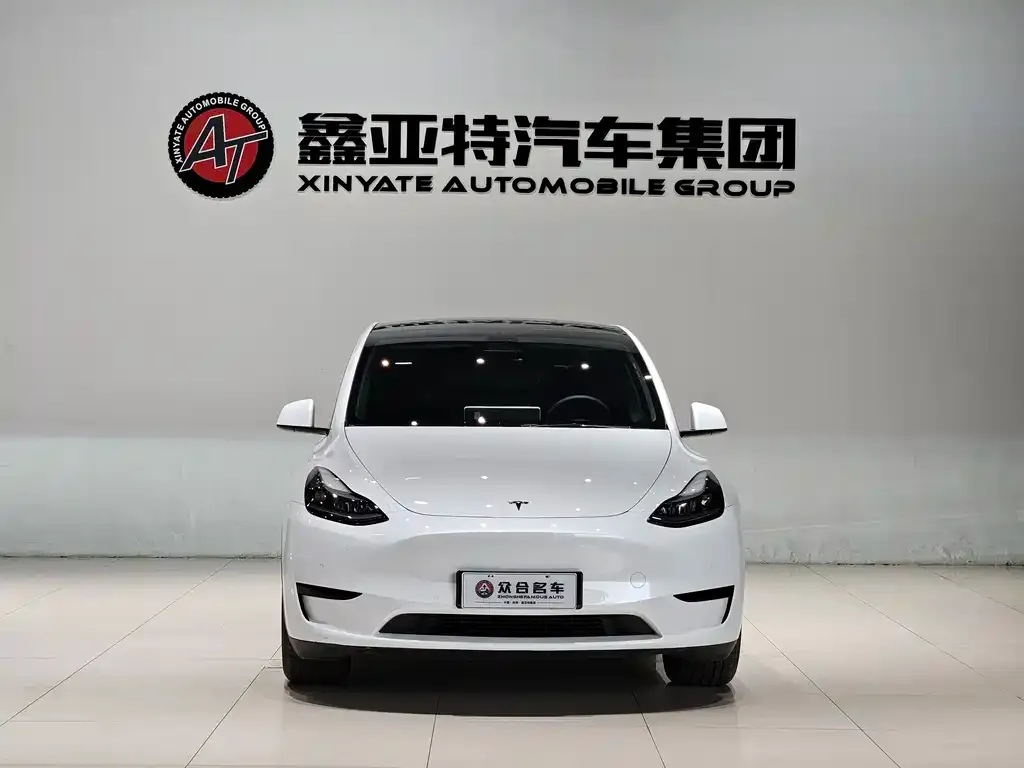 Tesla Model Y 2023 из CN, фото 2