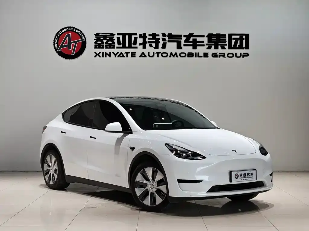 Tesla Model Y 2023 из CN, фото 3