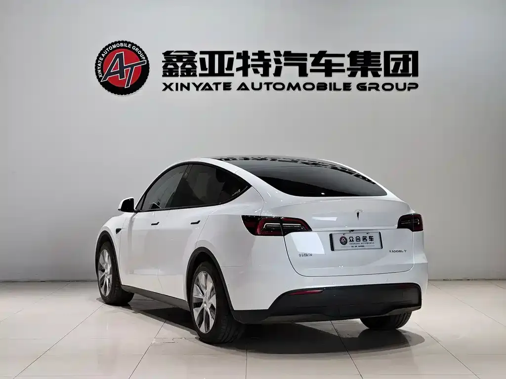 Tesla Model Y 2023 из CN, фото 5