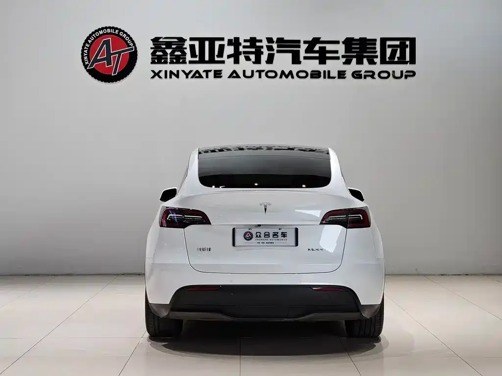 Tesla Model Y 2023 из CN, фото 6