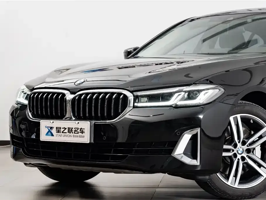 BMW 5 Series 2021 из CN, фото 3