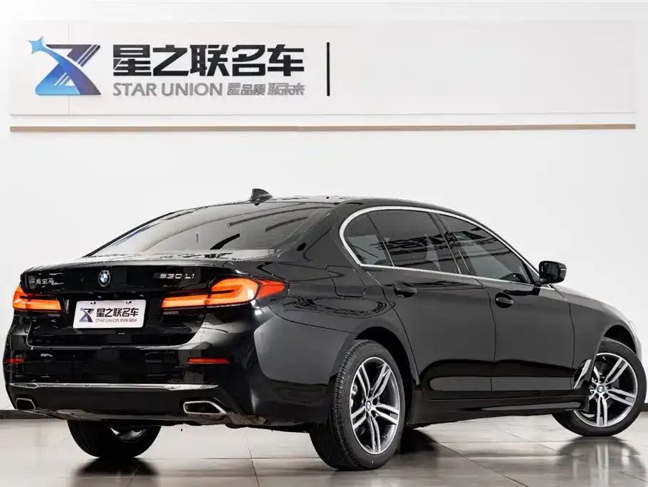 BMW 5 Series 2021 из CN, фото 7