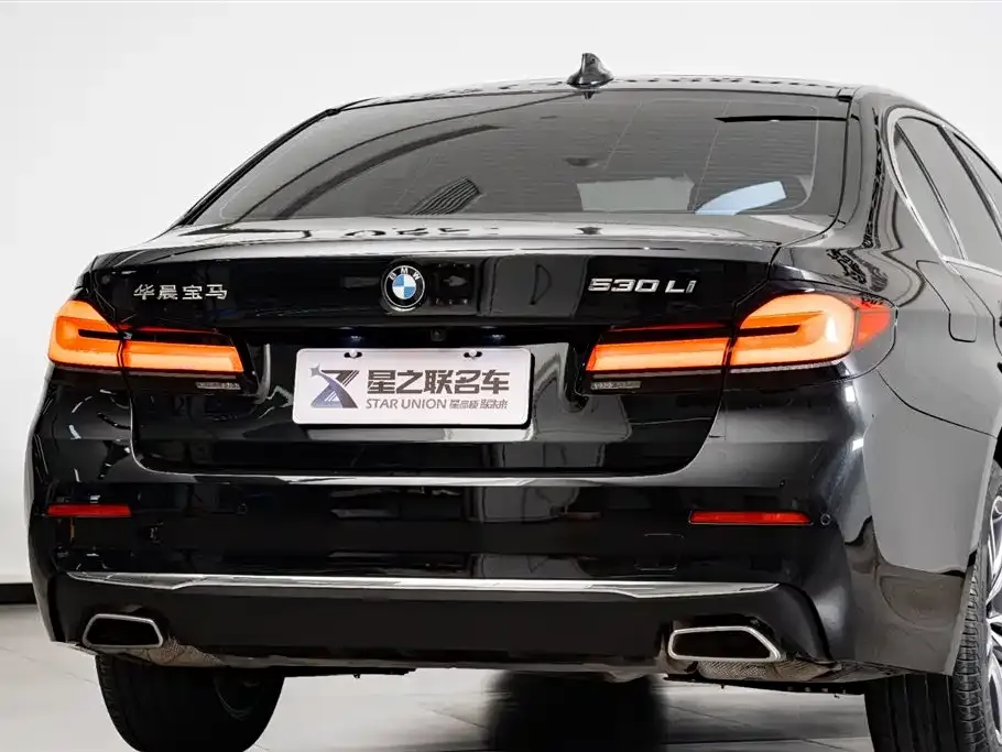 BMW 5 Series 2021 из CN, фото 8